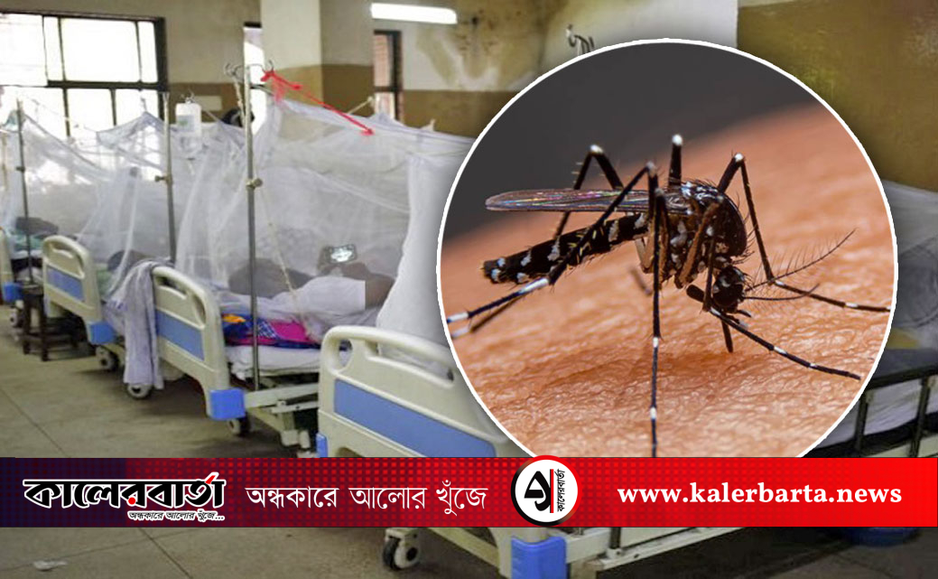 ডেঙ্গুতে সারাদেশে ২৪ ঘণ্টায় আরও তিনজনের মৃত্যু