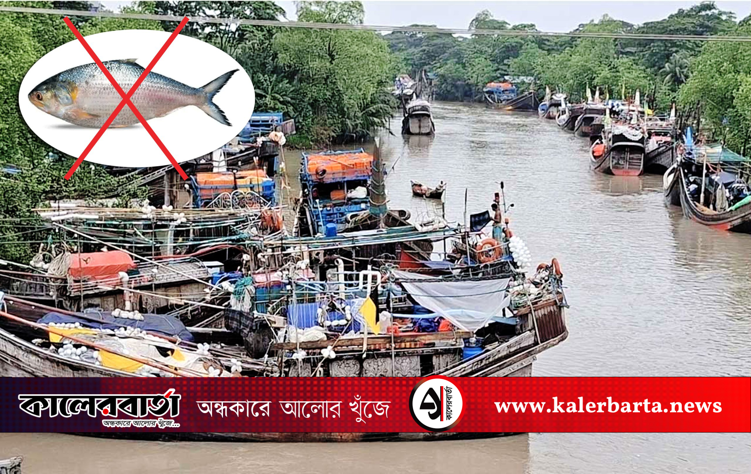 আজ থেকে ইলিশ রক্ষায় ২২ দিনের নিষেধাজ্ঞা শুরু