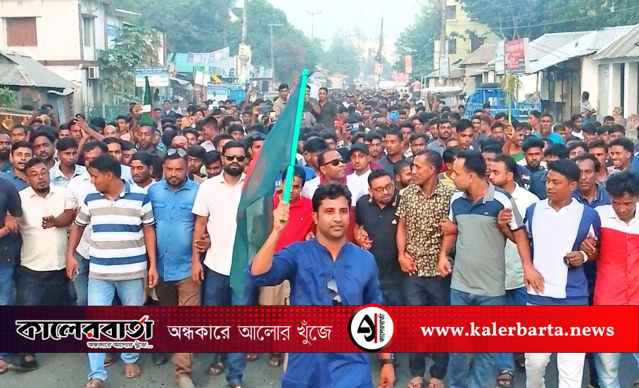 প্রতিষ্ঠা বার্ষিকীতে পলাশবাড়ীতে যুবদল নেতা নিক্সনের নেতৃত্বে বিশাল আনন্দ মিছিল