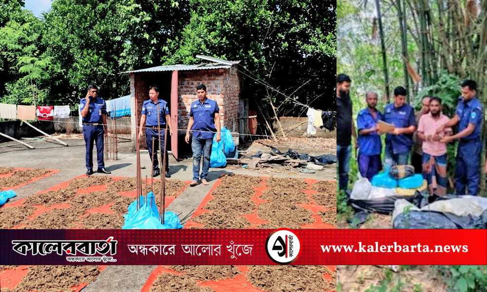 মেম্বারের বাড়ির ছাদ থেকে ১০০ কেজি গাঁজাসহ আটক ১, মেম্বার পলাতক