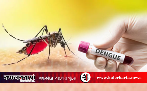 বেতাগীতে ডেঙ্গু পরিস্থিতি ভয়াবহ: আক্রান্তের সংখ্যা শতাধিক, স্থানীয়দের মধ্যে আতঙ্ক, কালের বার্তা