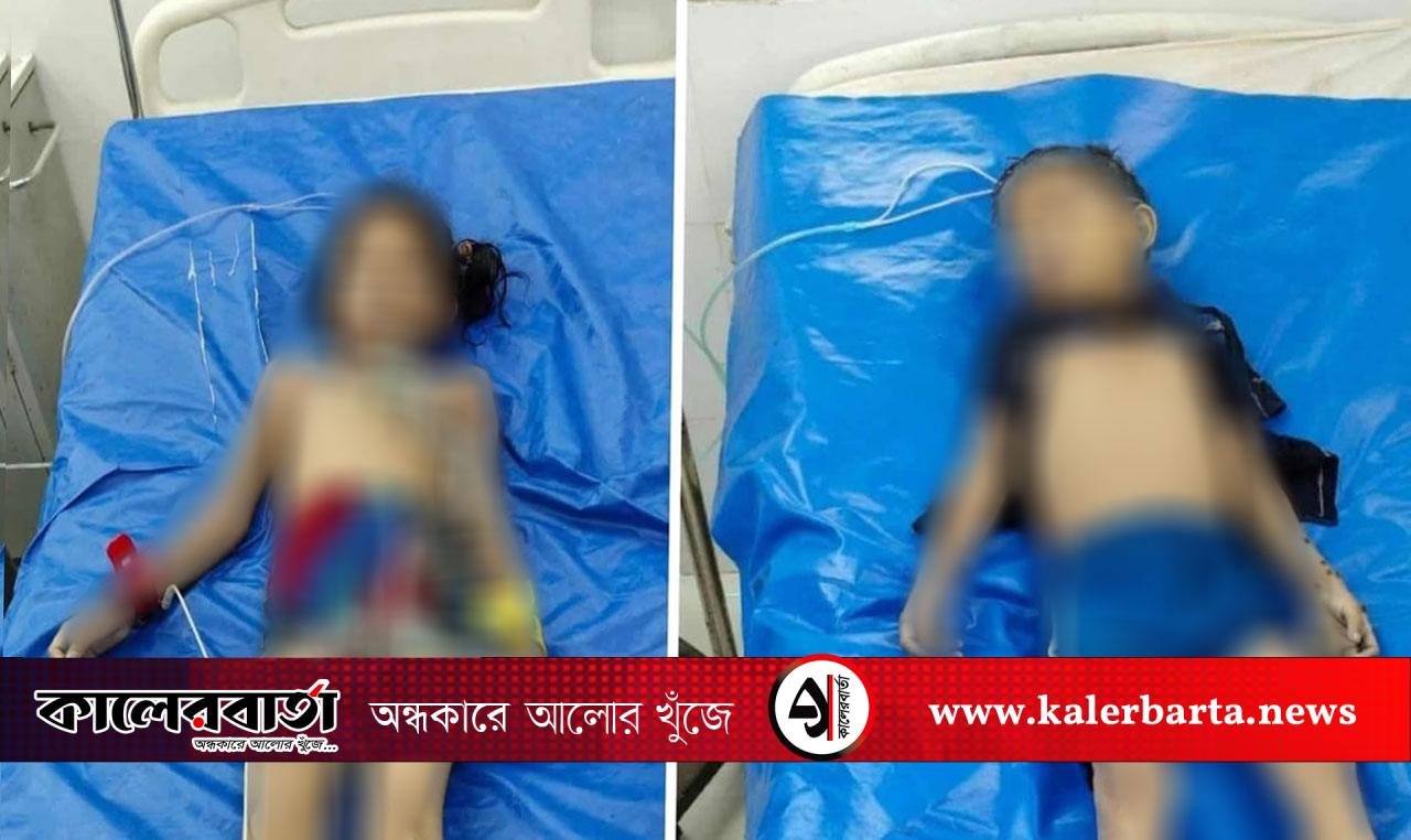 খালার বাড়িতে বেড়াতে গিয়ে পুকুরে ডুবে ভাই-বোনের মর্মান্তিক মৃত্যু, কালের বার্তা