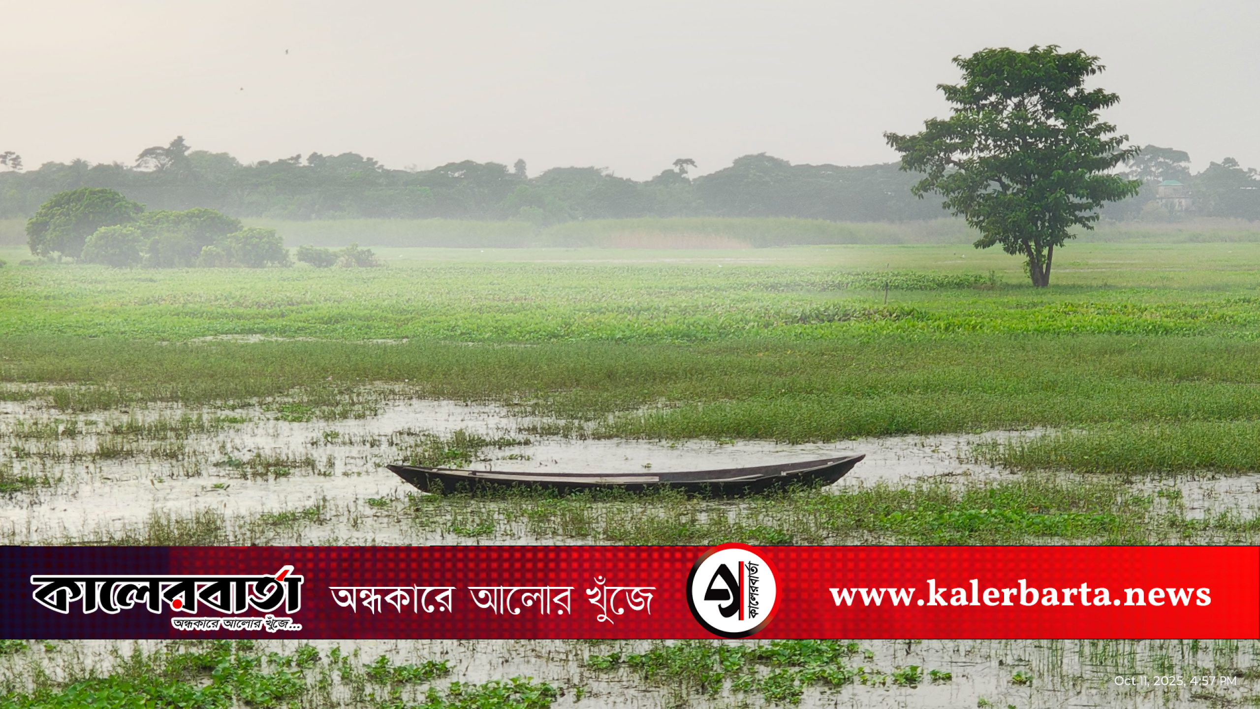 ঢাকার দোহারের প্রকৃতিতে ‘কুয়াশার চাদর’: শীতের স্নিগ্ধ আগমন, কালের বার্তা