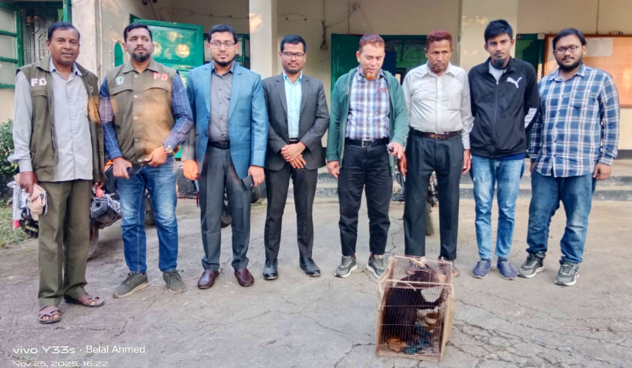 বিপন্ন প্রজাতির ভাল্লুক ছানা উদ্ধার, কালের বার্তা