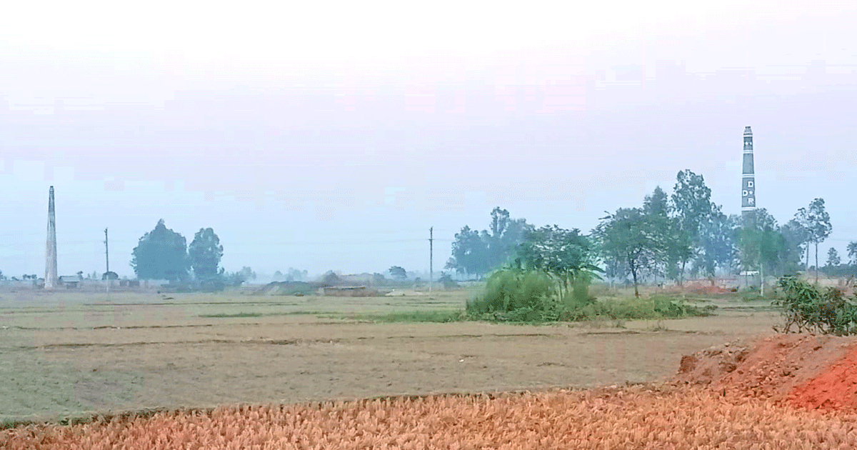 পীরগঞ্জে পরিবেশ অধিদপ্তরের ছাড়পত্র ছাড়াই ফসলি জমিতে গড়ে উঠছে অবৈধ ইটভাটা, কালের বার্তা