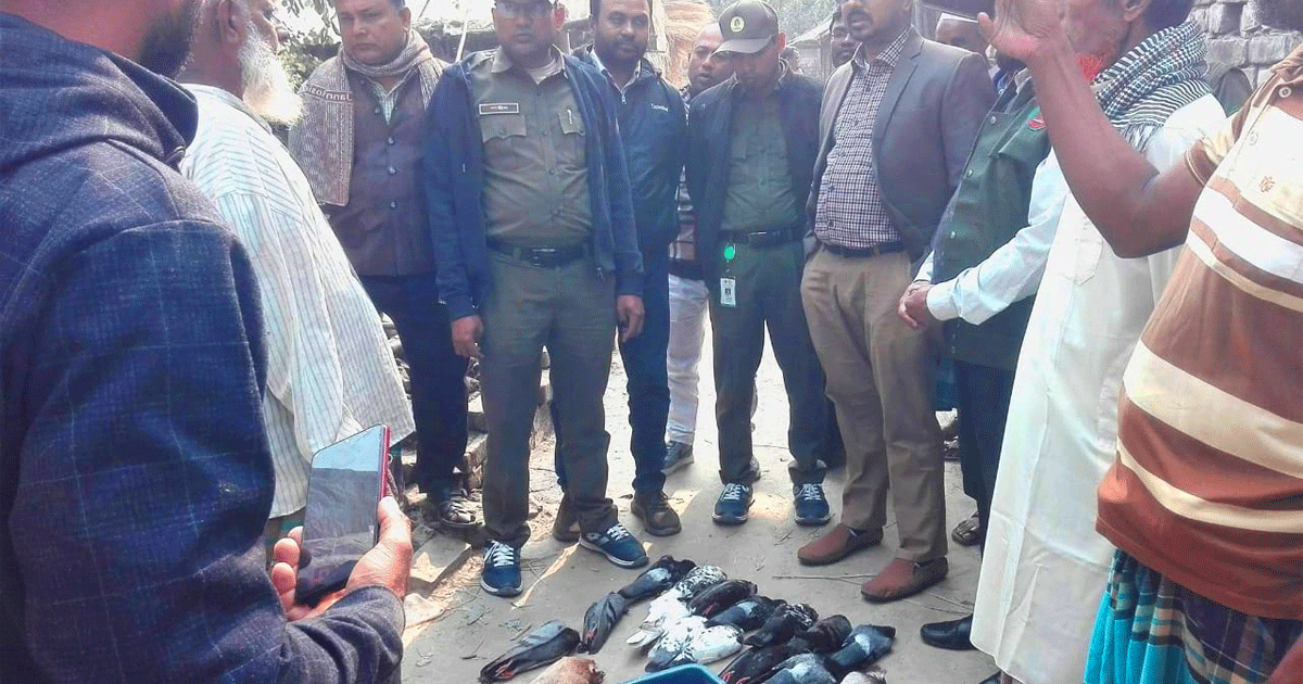 বিষ মাখানো সরিষা বীজ খেয়ে শতাধিক পাখির মৃত্যু