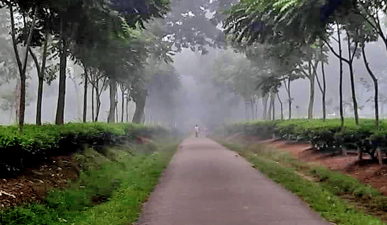শ্রীমঙ্গলে দেশের সর্বনিম্ন তাপমাত্রা ১২.৫ ডিগ্রি সেলসিয়াস রেকর্ড, কালের বার্তা