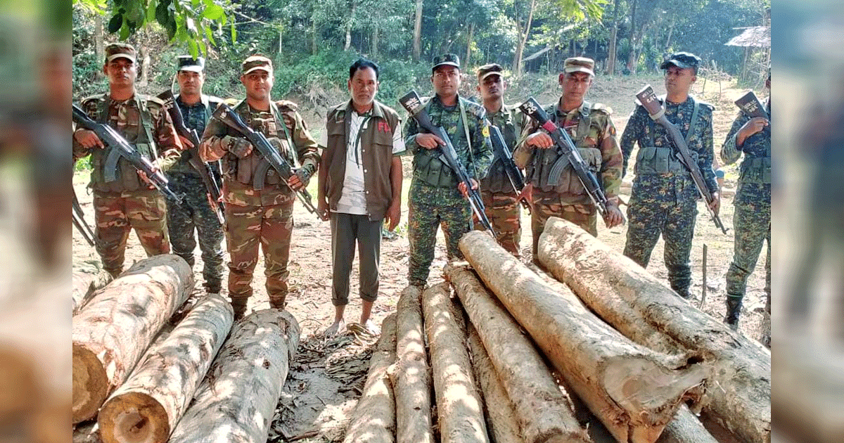 আলীকদম সেনা জোনের অভিযানে মালিকবিহীন বিপুল পরিমাণ সেগুন কাঠ উদ্ধার