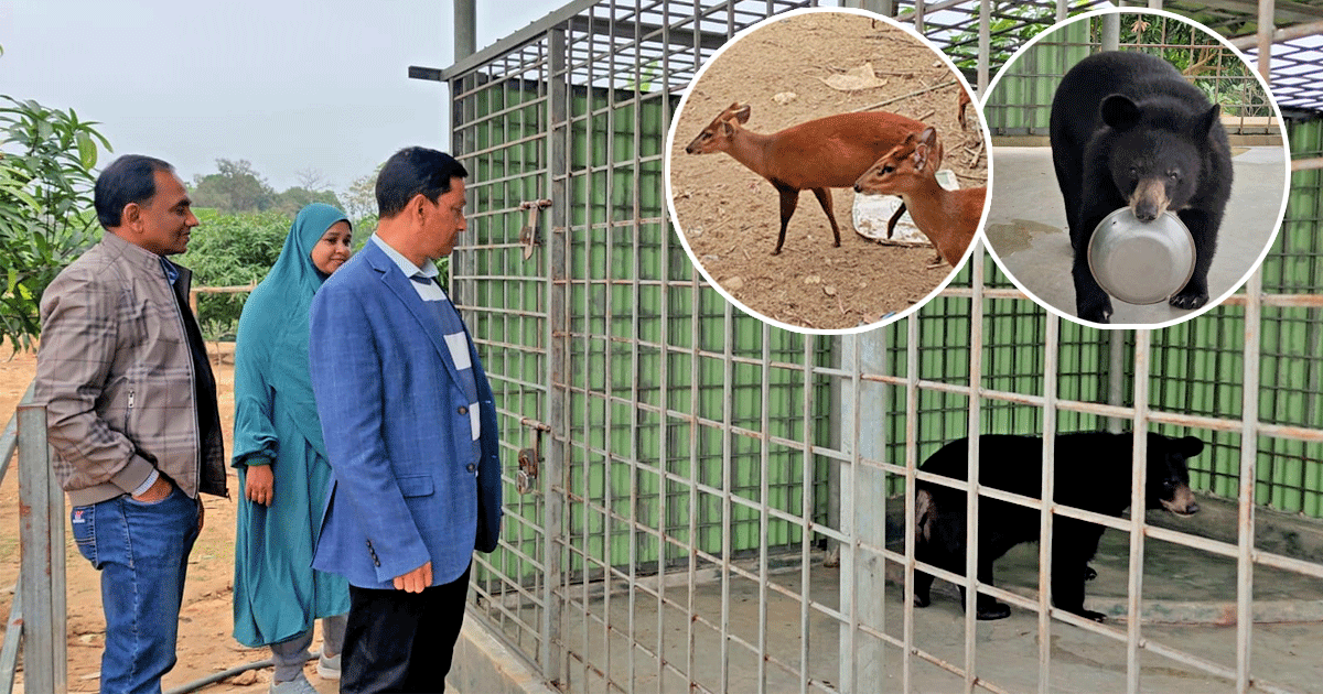 খাগড়াছড়ি বন বিভাগের সহায়তায় বিলুপ্তপ্রায় প্রজাতির ভালুক, হরিণ ও বানর উদ্ধার
