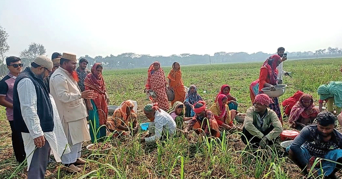 ভুল বিশ্বাসের রাজনীতি থেকে বেরিয়ে দাঁড়িপাল্লায় ভোট দেওয়ার আহ্বান জামায়াতের প্রার্থী আবুল কালাম আজাদ
