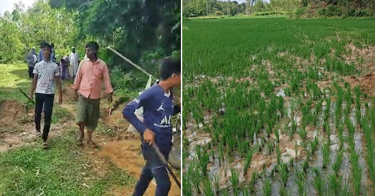 লামায় দফাদার আলী আকবরের পৈত্রিক সম্পত্তি জোরপূর্বক দখলের চেষ্টা