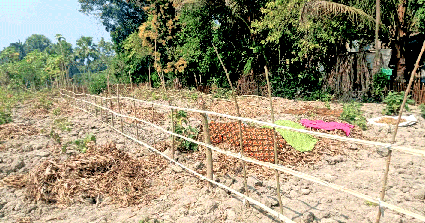 তালায় জোরপূর্বক জমি দখল: থানায় অভিযোগ