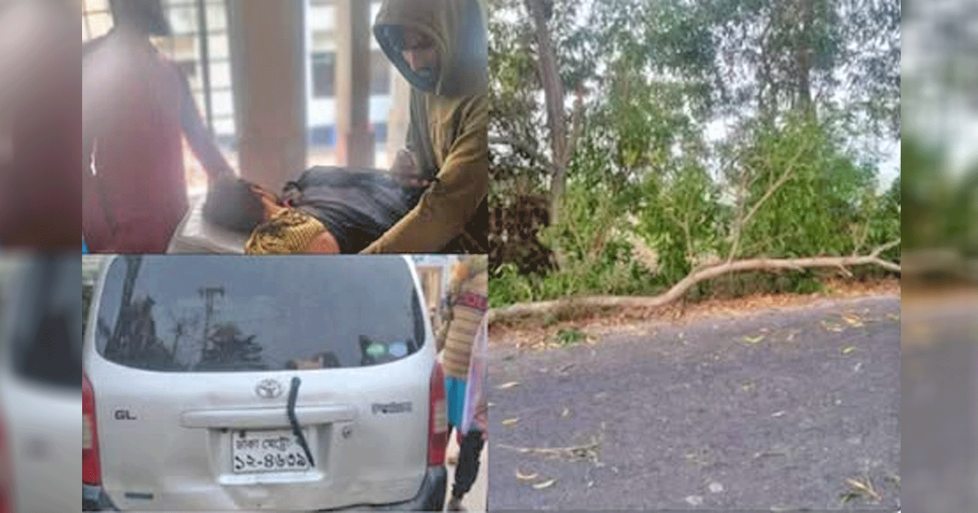 দোহারে বিদেশফেরত যাত্রীর মালামাল লুট, চালক আহত