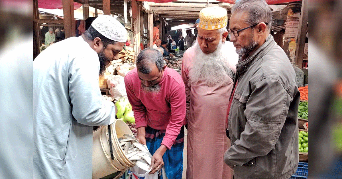 দোহারে মৎস্য দপ্তরের অভিযান: ১৮০ কেজি জাটকা জব্দ ও বিতরণ