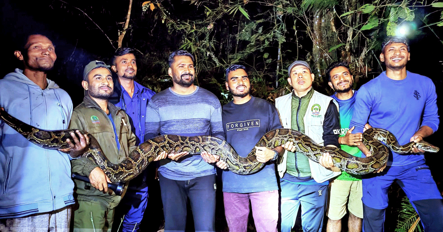 কমলগঞ্জে ৪০ কেজি ওজনের বিশাল অজগর উদ্ধার, লাউয়াছড়ায় অবমুক্ত