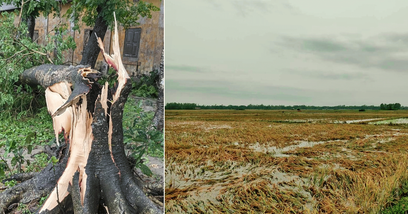 কুলিয়ারচরে কালবৈশাখী ঝড় ও টানা দুদিনের বৃষ্টিতে তলিয়ে গেছে ফসলি জমি, ব্যাপক ক্ষয়ক্ষতি