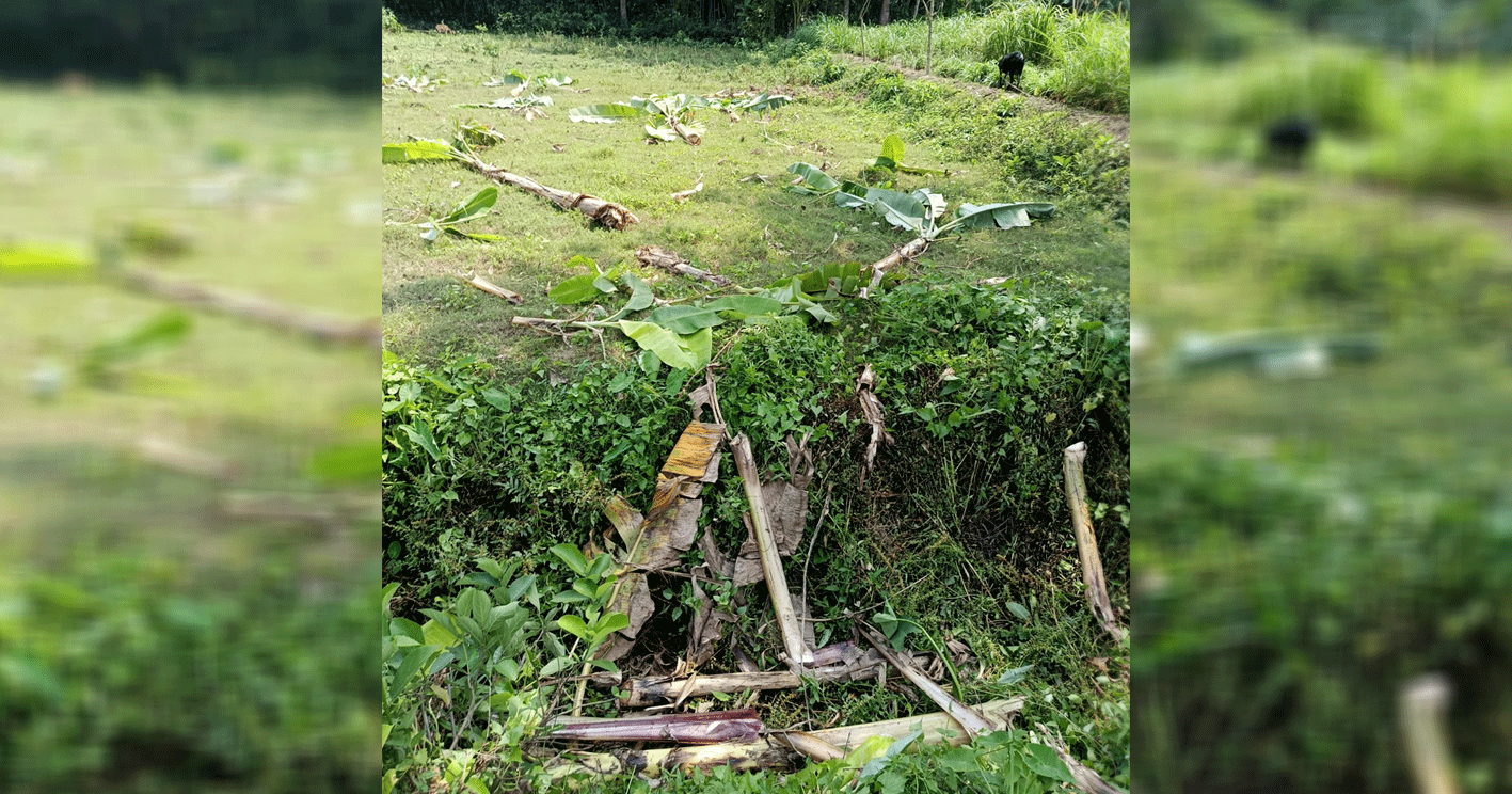 তালায়-১৪৫-ধারা-ভঙ্গ-করে-জোরপূর্বক-জমি-দখলের-পায়তারা