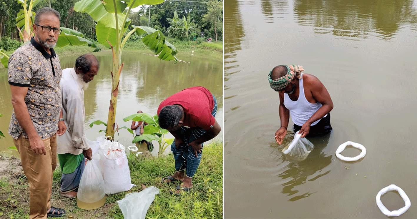 দোহার আড়িয়াল বিলে ‘বিল নার্সারি’ স্থাপন, মাছের উৎপাদন বাড়ানোর উদ্যোগ