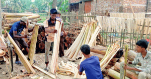 পাঁচবিবিতে কলাগাছ থেকে সুতা উৎপাদন
