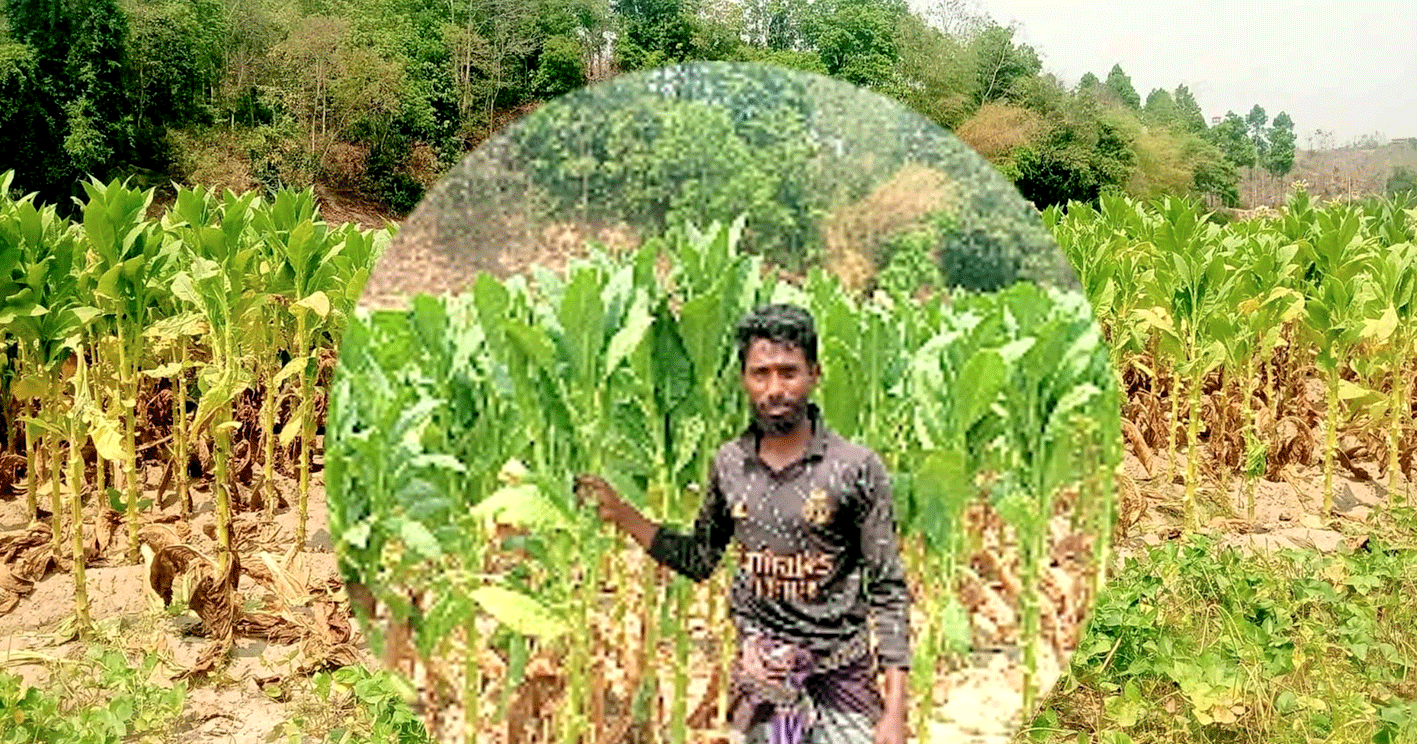 লামায় যুবদল নেতাকে পিটিয়ে হত্যার চেষ্টা, থানায় অভিযোগ