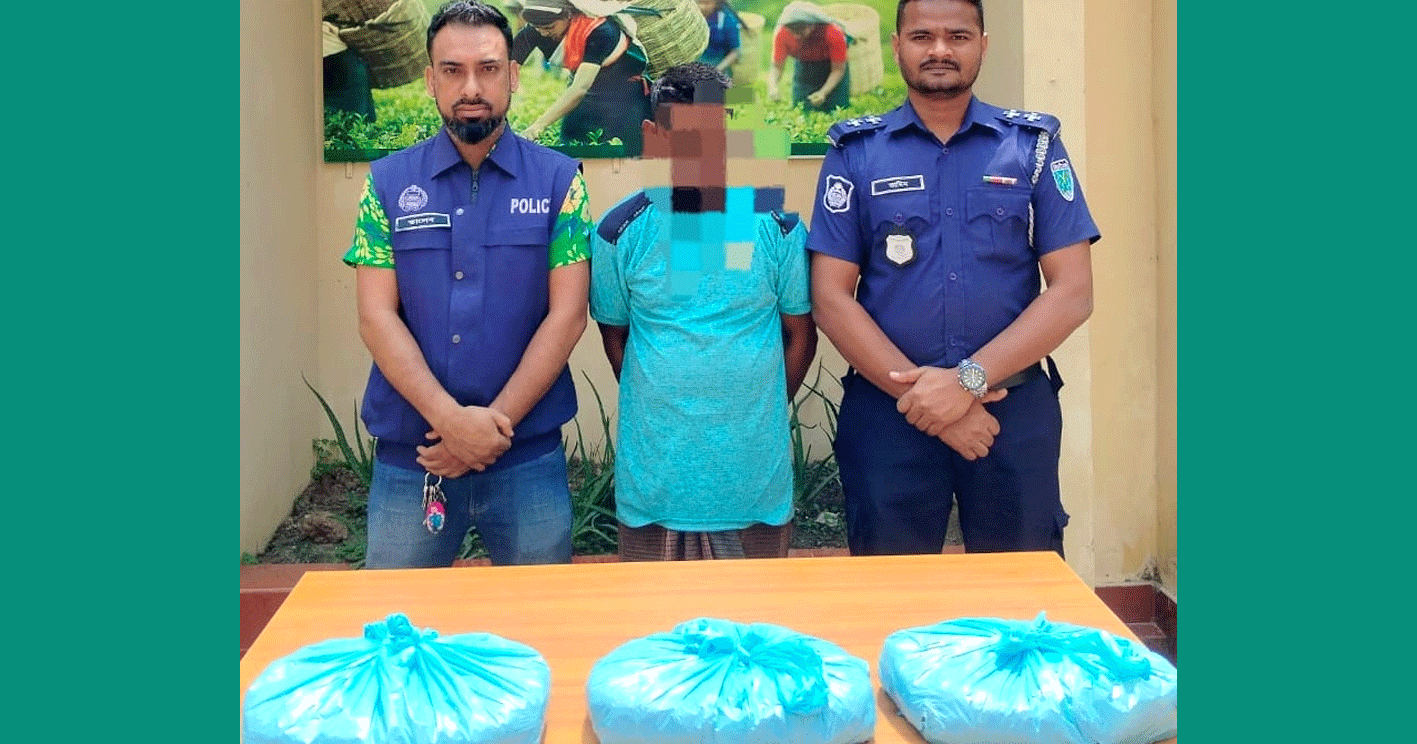 ভোররাতে পুলিশের অভিযান: শ্রীমঙ্গলে ৩ কেজি গাঁজাসহ কারবারি আটক
