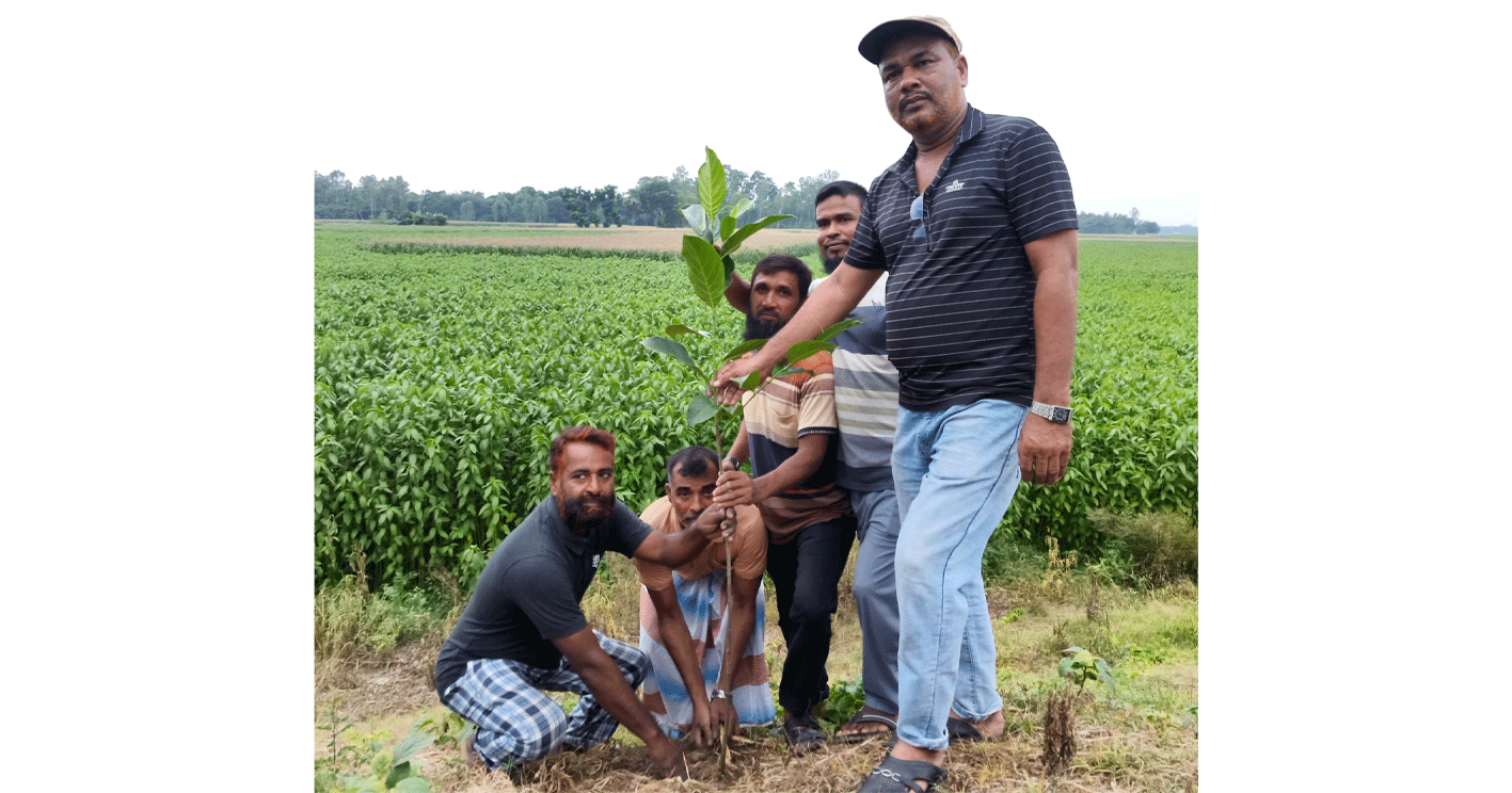 নলডাঙ্গায় তরুণ দলের উদ্যোগে বৃক্ষরোপণ কর্মসূচি পালন