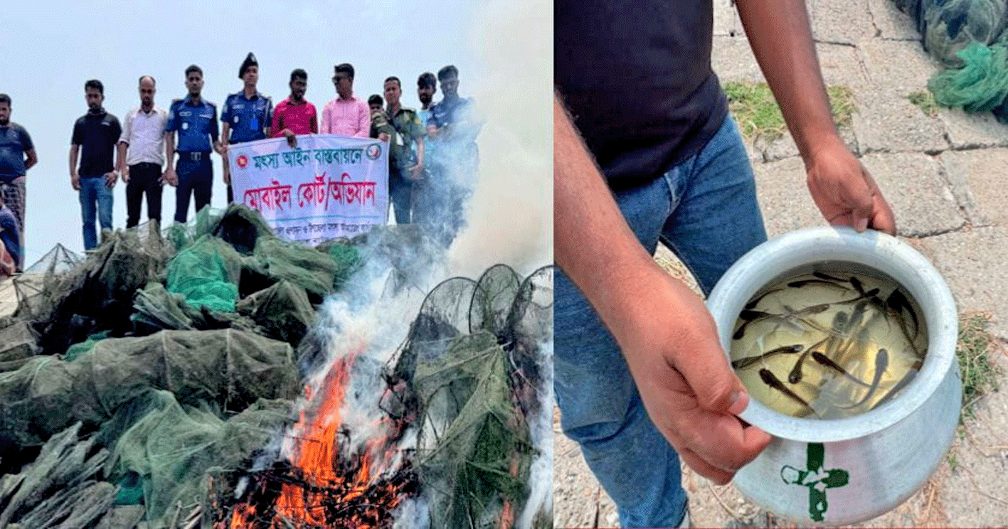 নলডাঙ্গায় মোবাইল কোর্ট পরিচালনায় ৪৫টি নিষিদ্ধ চায়না দুয়ারী জাল জব্দ