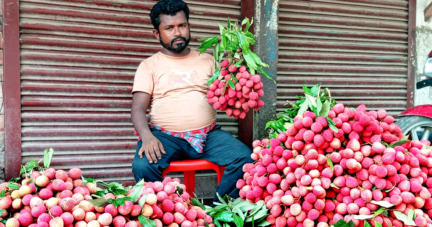 পাঁচবিবি বাজার মধুমাসের লিচুতে সয়লাব