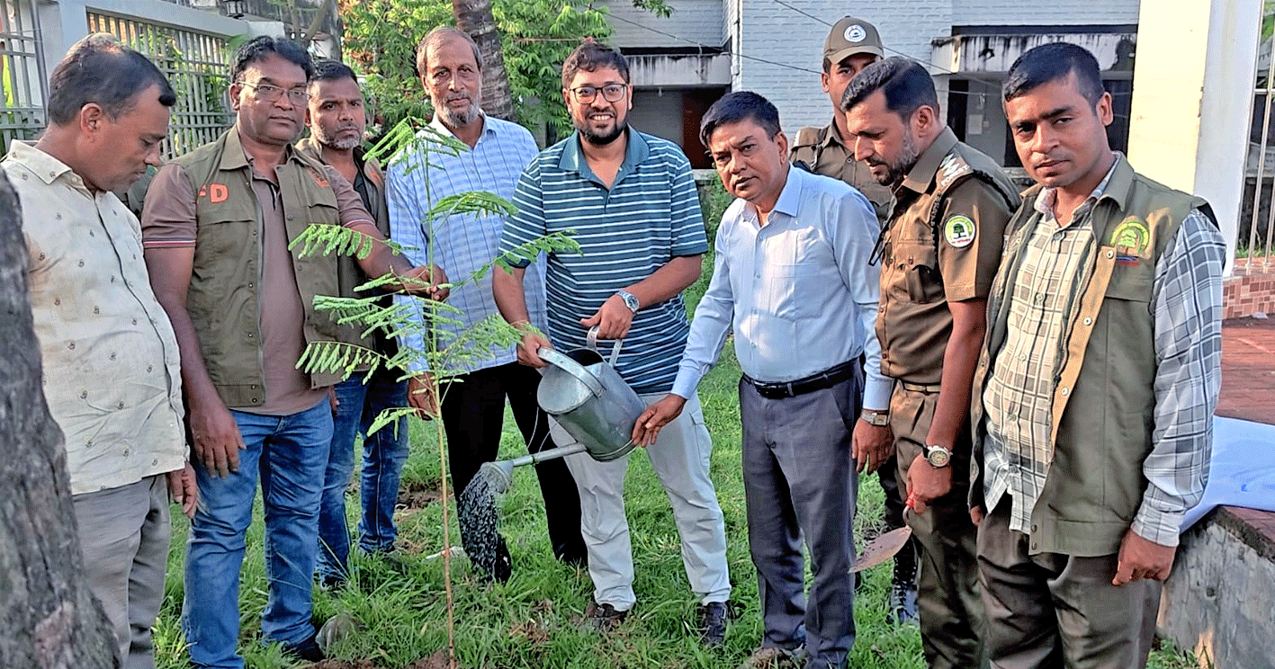লামায় ৫ বছরে ২৫ কোটি বৃক্ষরোপণ কর্মসূচির উদ্বোধন