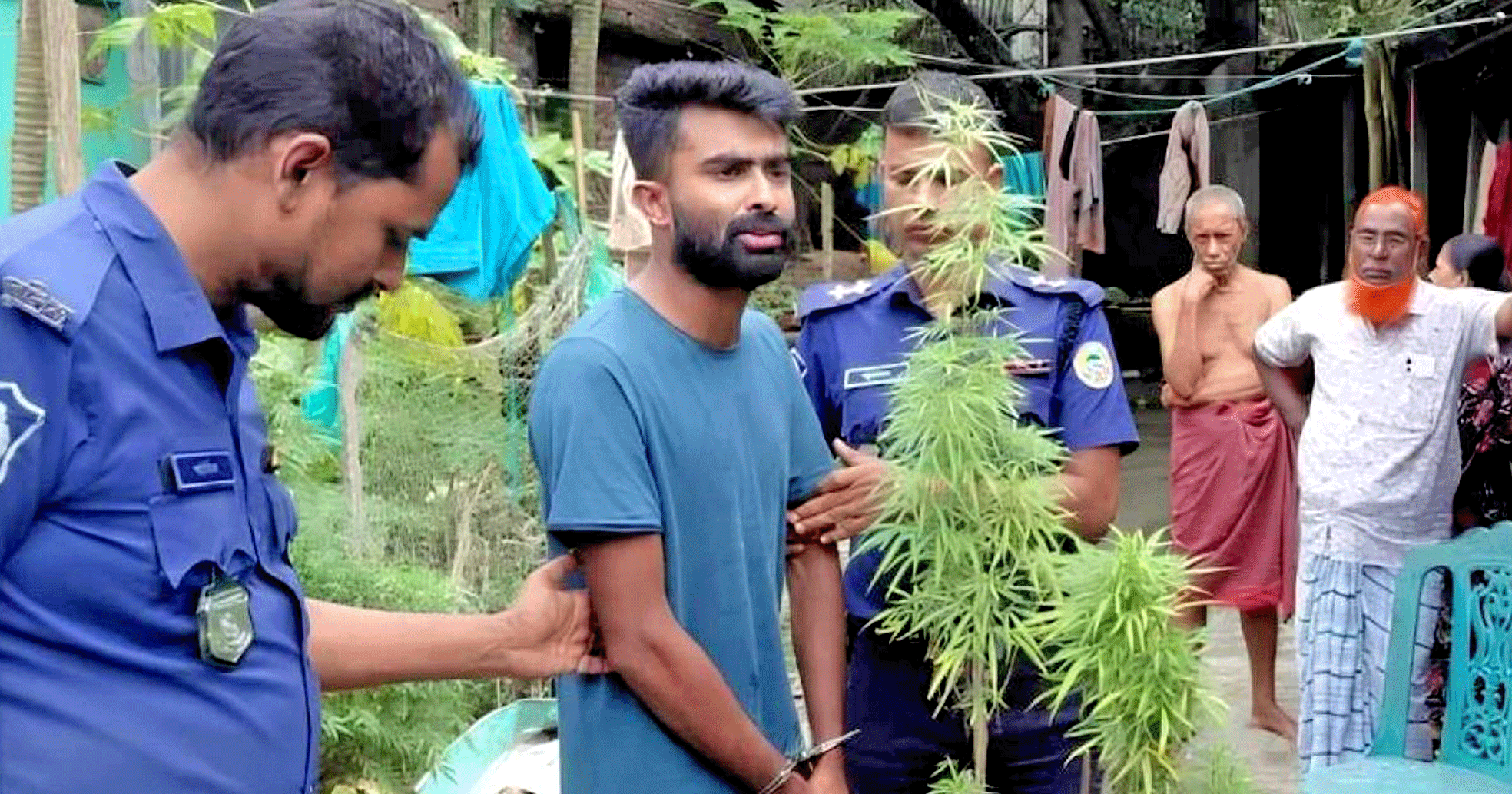 ইয়াবা মামলায় বরখাস্ত কনস্টেবল, এবার গাঁজার গাছসহ গ্রেপ্তার