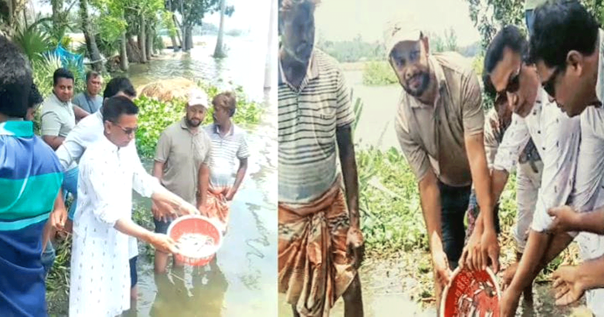 উন্মুক্ত জলাশয়ে মৎস্য পোনা অবমুক্ত করেছে নলডাঙ্গা উপজেলা স্বেচ্ছাসেবক দল