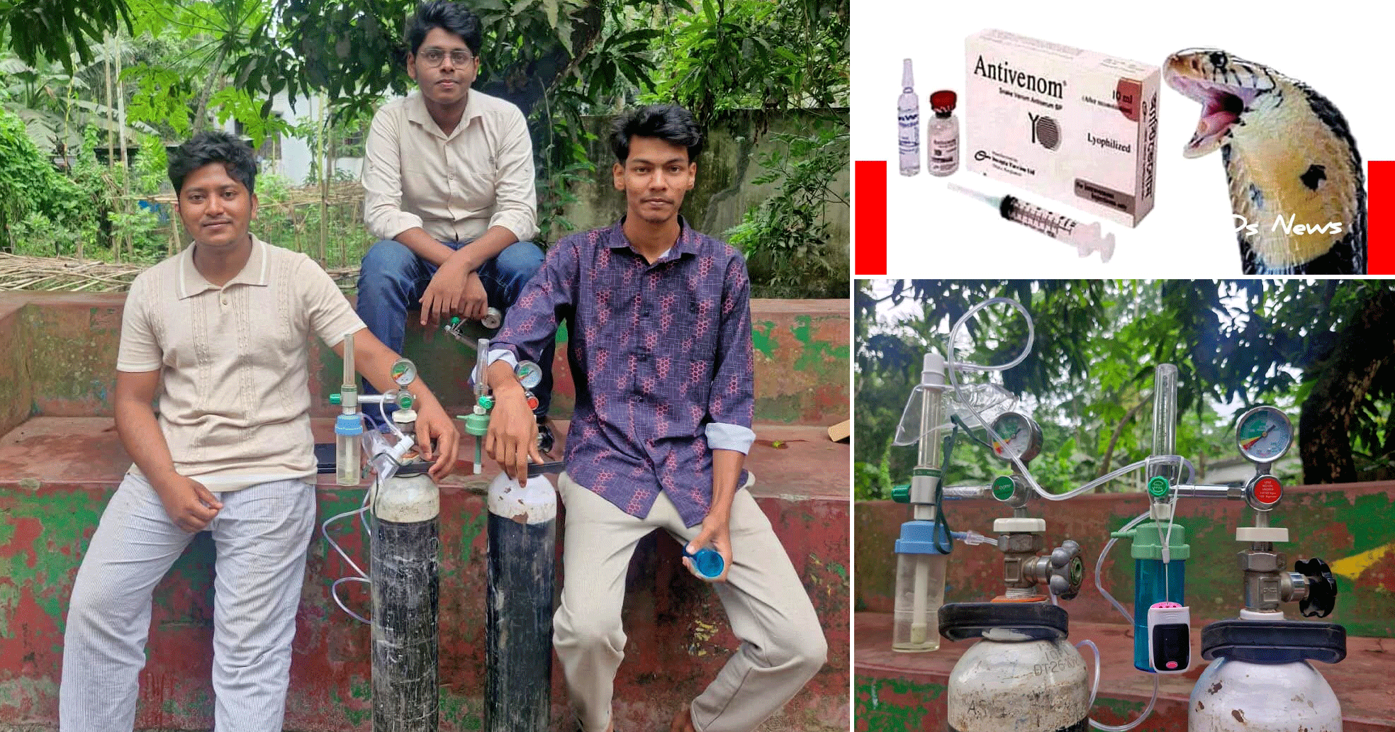 চৈতাবাতর যুব সমাজের উদ্যোগে সংরক্ষণ করা হলো সাপের কামড়ের অ্যান্টিভেনম, মিলবে জরুরি অক্সিজেন সেবাও