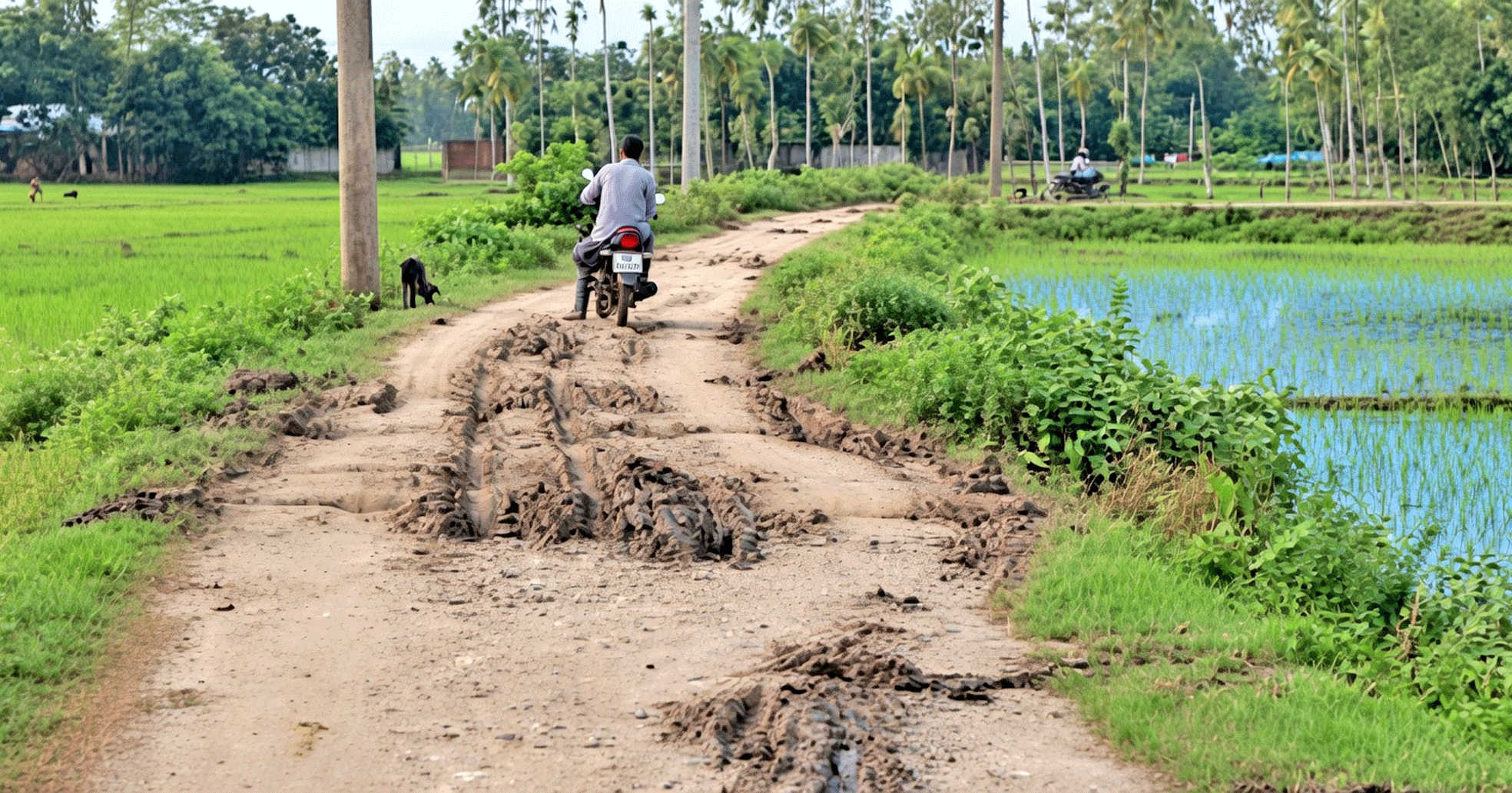 দীর্ঘ ১৮ বছরের ভোগান্তি: পলাশবাড়ী পলিটেকনিক থেকে ফলিয়া সড়ক পাকাকরণের দাবিতে পাঁচ গ্রামের মানুষের আহ্বান