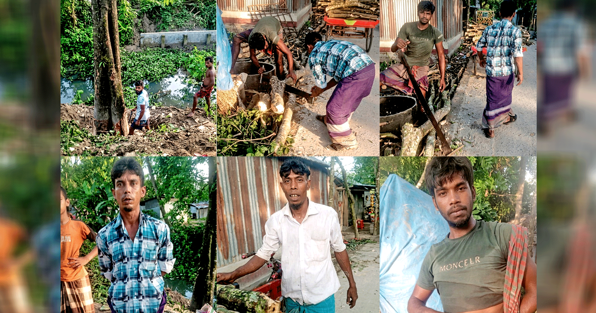 গণমাধ্যমে সংবাদ প্রকাশের পরও টনক নড়েনি সংশ্লিষ্ট কর্তৃপক্ষের; কুলিয়ারচরে একই স্থান থেকে ফের সরকারি গাছ কাটার অভিযোগ