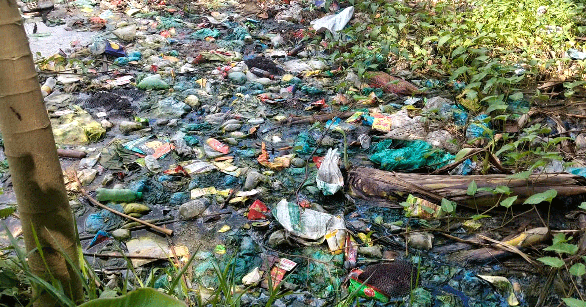 মাদ্রাসা সংলগ্ন ময়লার স্তূপে তীব্র দুর্গন্ধ, অতিষ্ঠ দোহারের নারিশা পশ্চিমচরের বাসিন্দারা