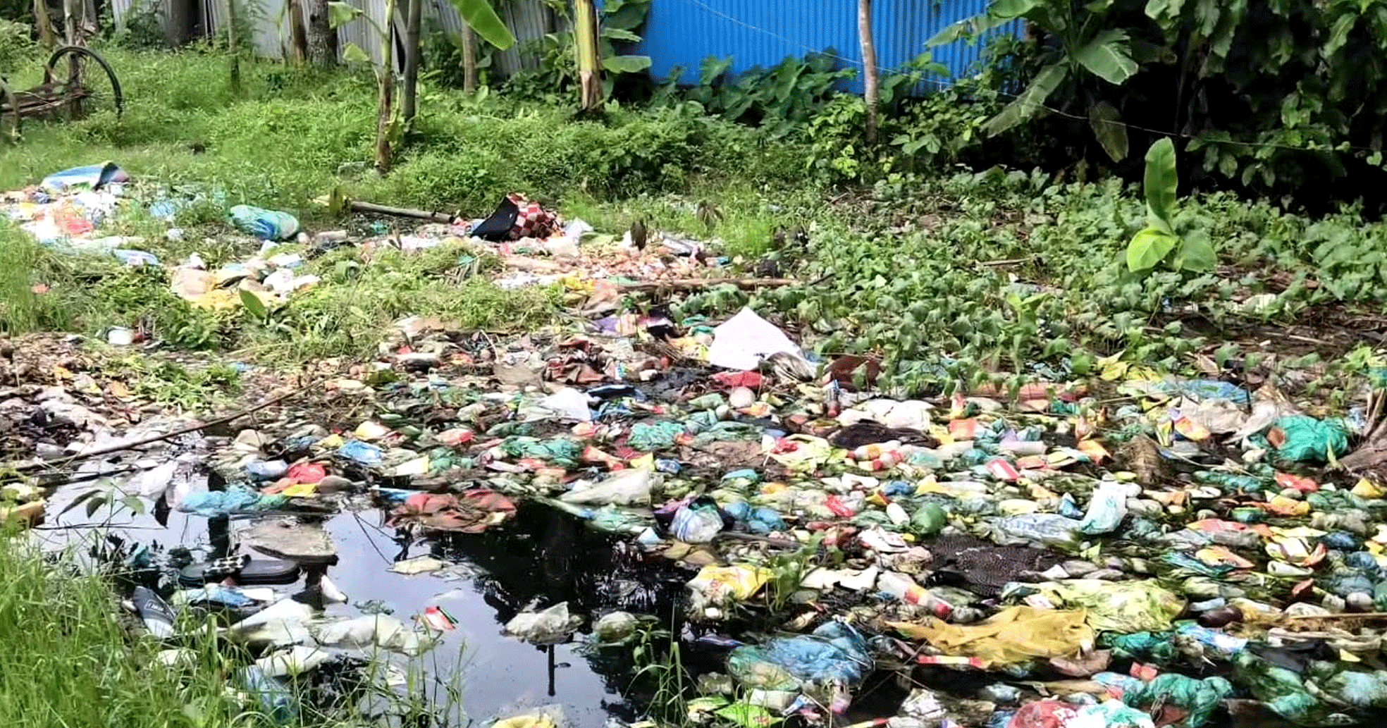 মাদ্রাসা সংলগ্ন ময়লার স্তূপে তীব্র দুর্গন্ধ, অতিষ্ঠ দোহারের নারিশা পশ্চিমচরের বাসিন্দারা