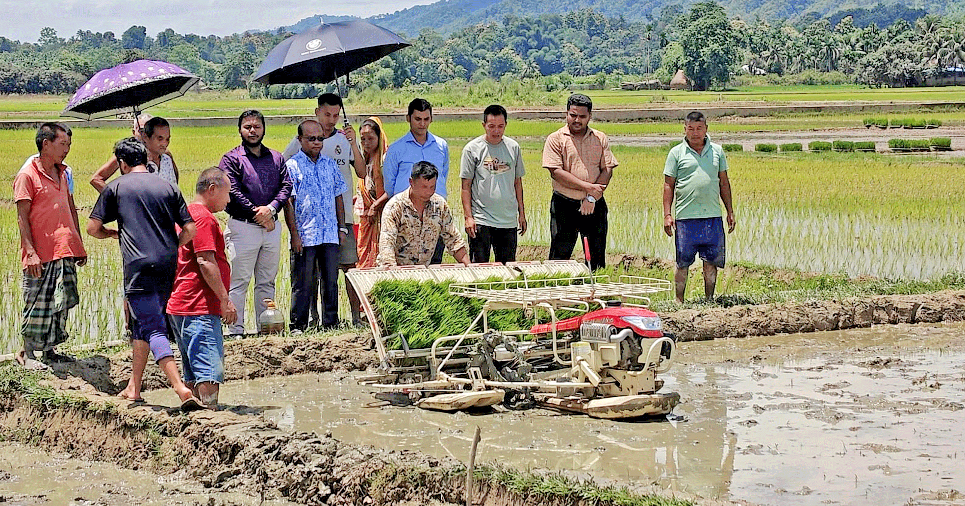 খাগড়াছড়িতে এলএসটিডি প্রকল্পের আওতায় যান্ত্রিক পদ্ধতিতে আমনের চারা রোপণ কার্যক্রম শুরু