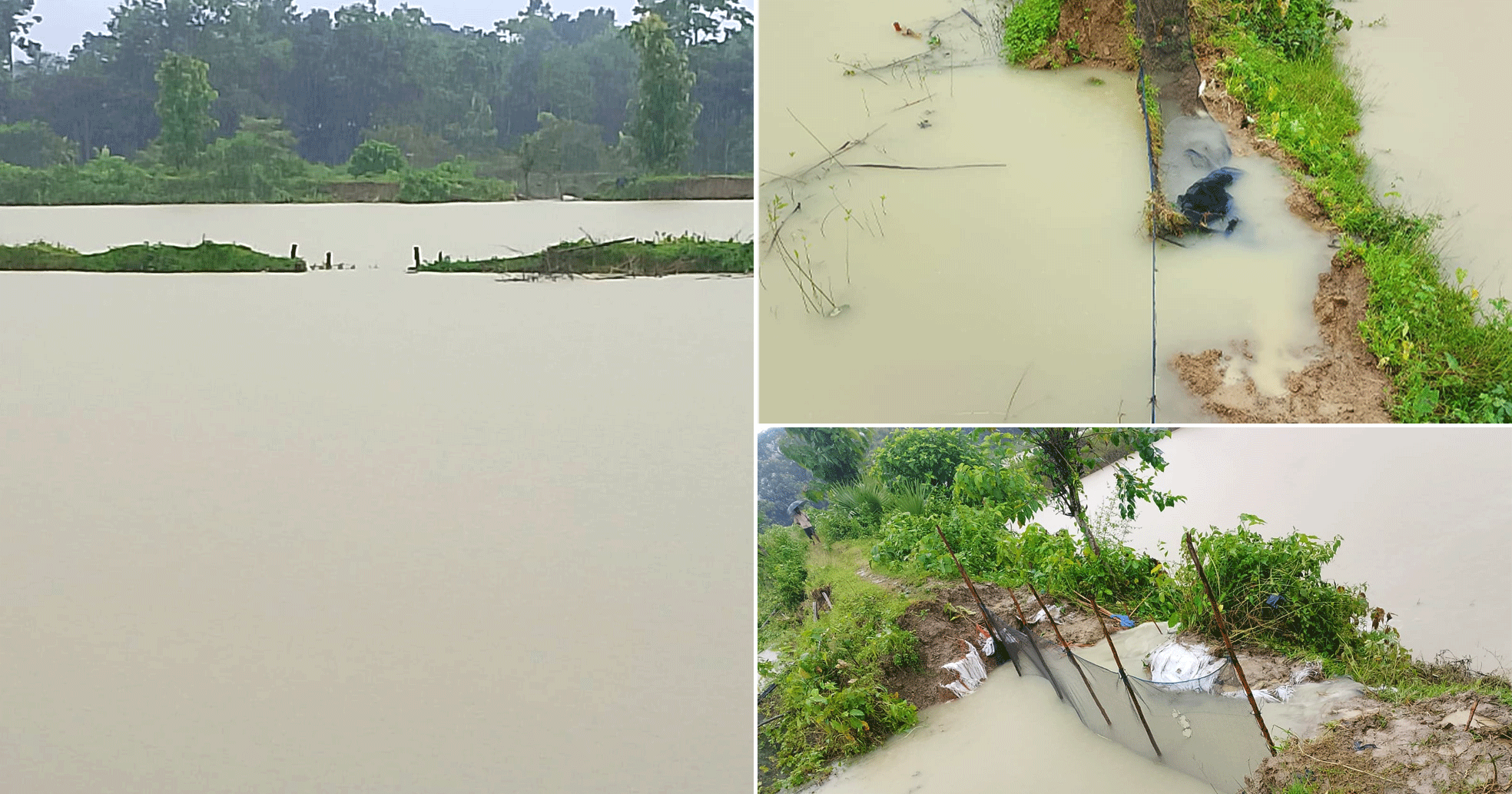 লামায় স্মরণকালের বন্যায় মৎস্য খাতে ব্যাপক ক্ষয়ক্ষতি; পুকুর ও ফিশারিতে ক্ষতি প্রায় দেড় কোটি টাকা