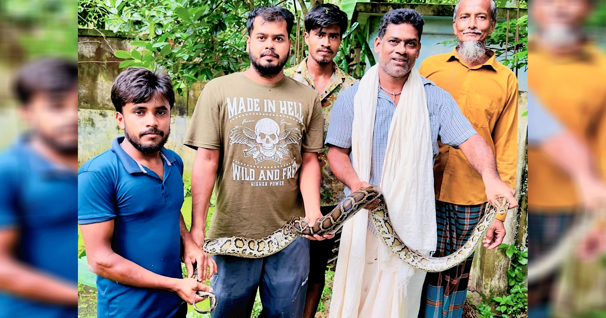 শ্রীমঙ্গলে অজগর সাপ উদ্ধার