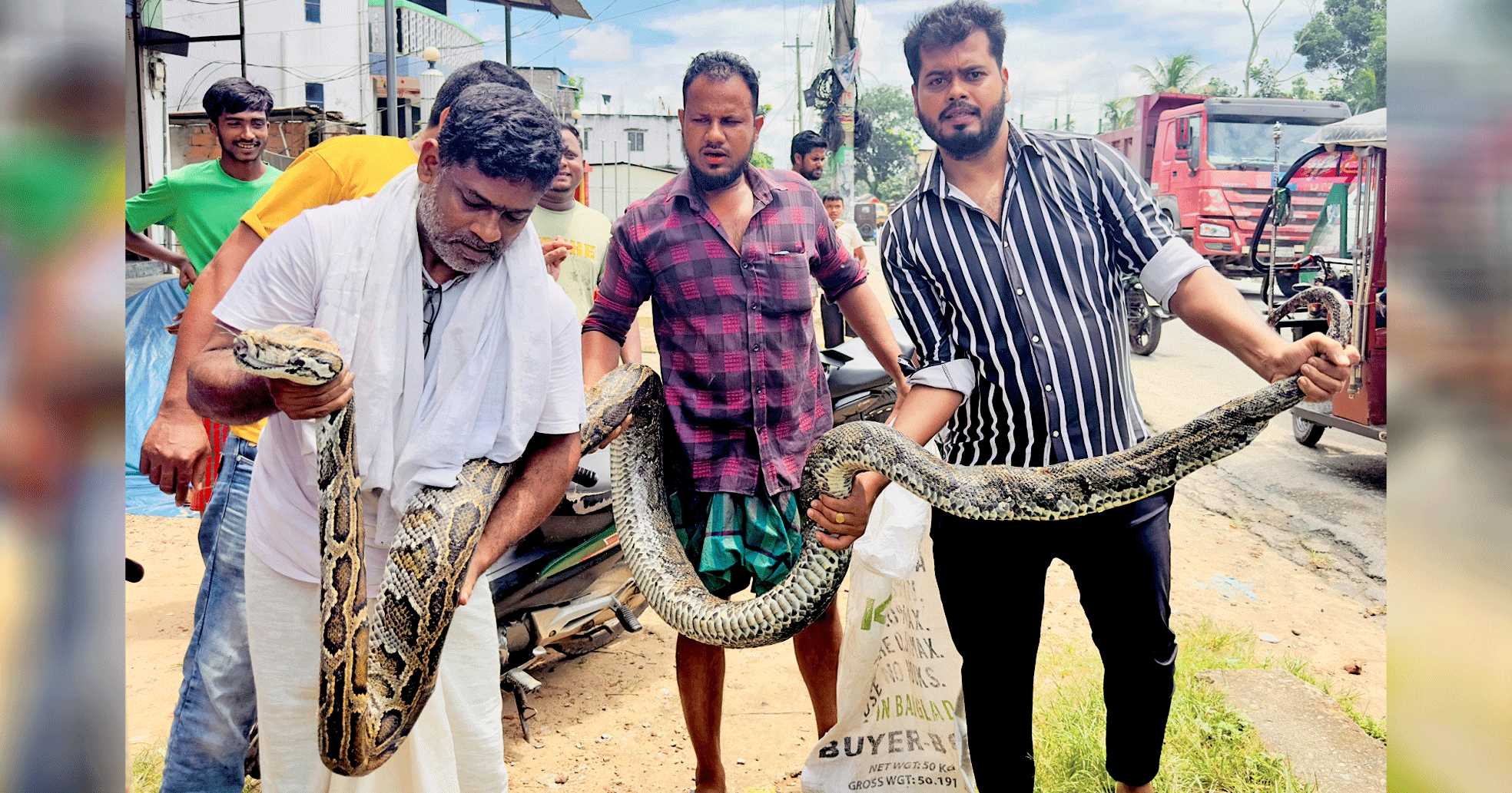 শ্রীমঙ্গলে ১৮ ফুট দৈর্ঘ্যের ও ৩৫ কেজি ওজনের বিশাল অজগর উদ্ধার