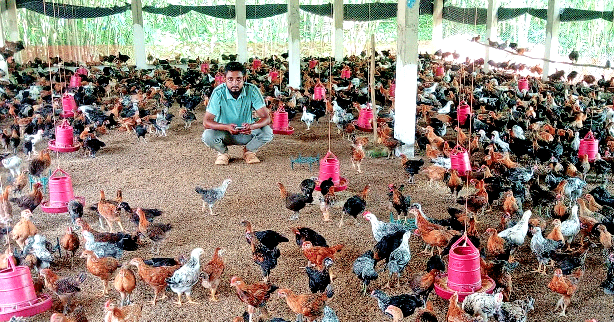 মোবাইল অ্যাপসে মুরগির খামার নিয়ন্ত্রণ
