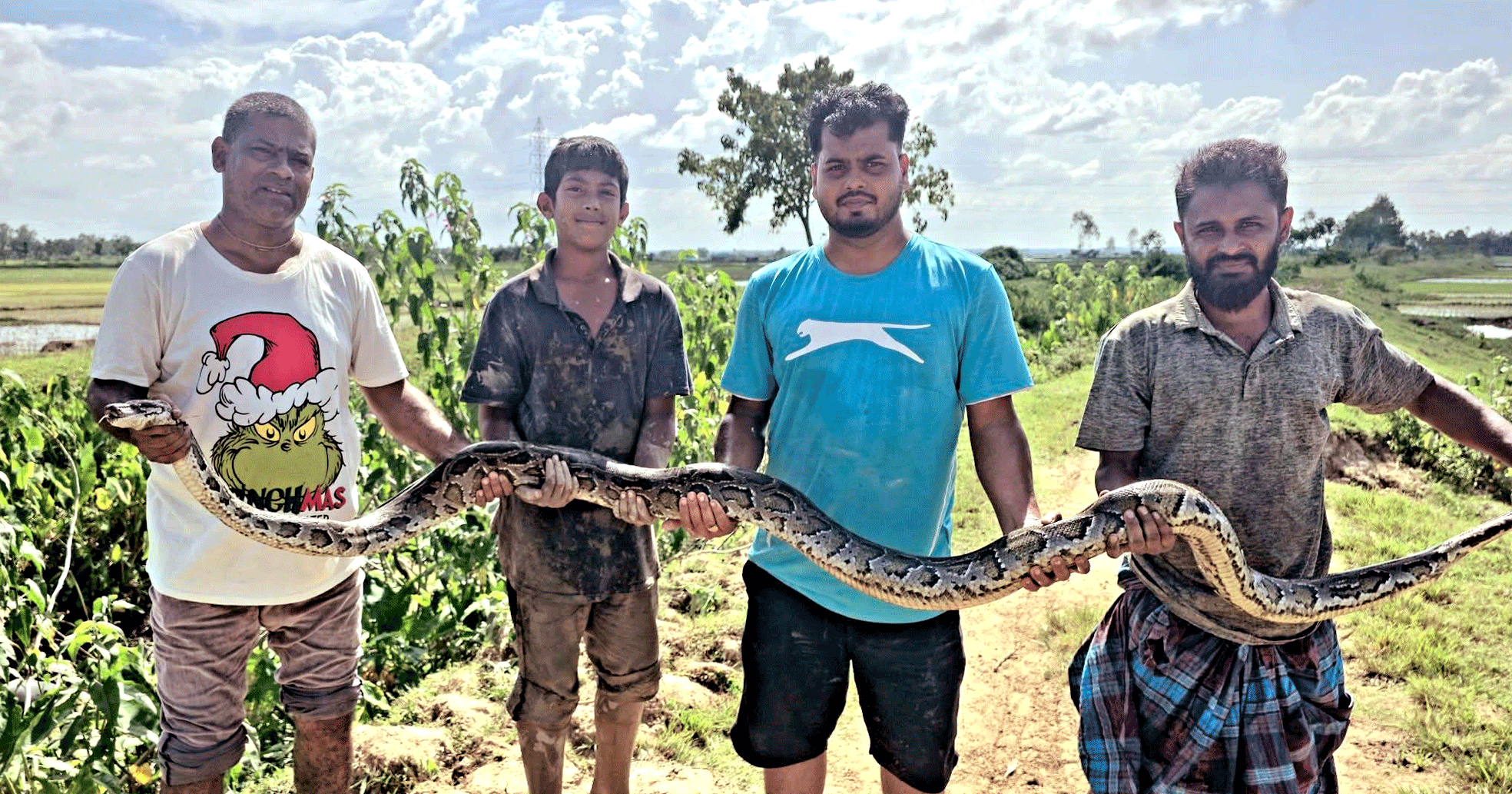 শ্রীমঙ্গলের হাইল হাওর থেকে বিশালাকৃতির অজগর উদ্ধার, পরে বন বিভাগে হস্তান্তর