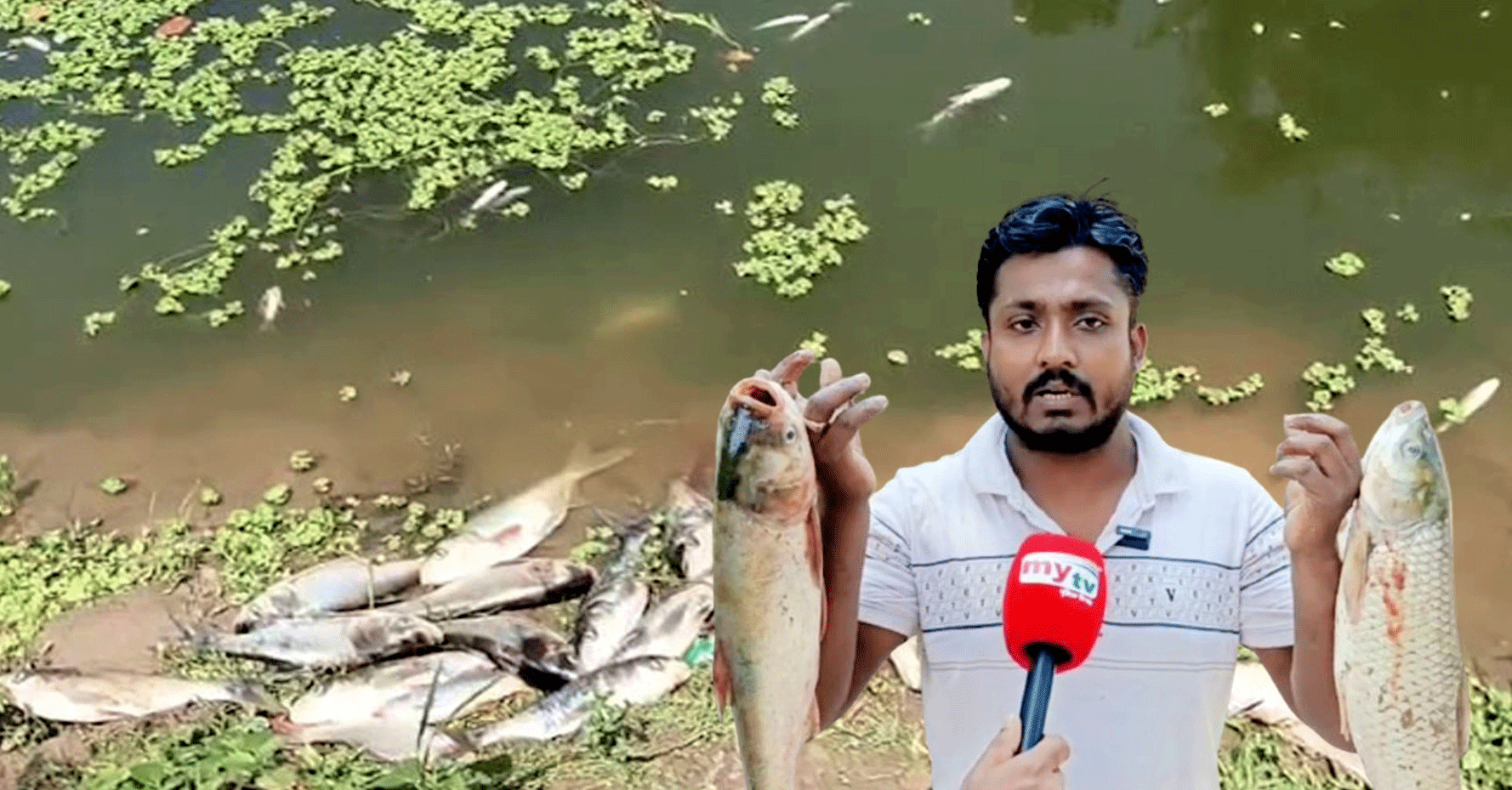 গোবিন্দগঞ্জে রাতের আঁধারে পুকুরে বিষ প্রয়োগ, দুই লাখ টাকার মাছ নিধন