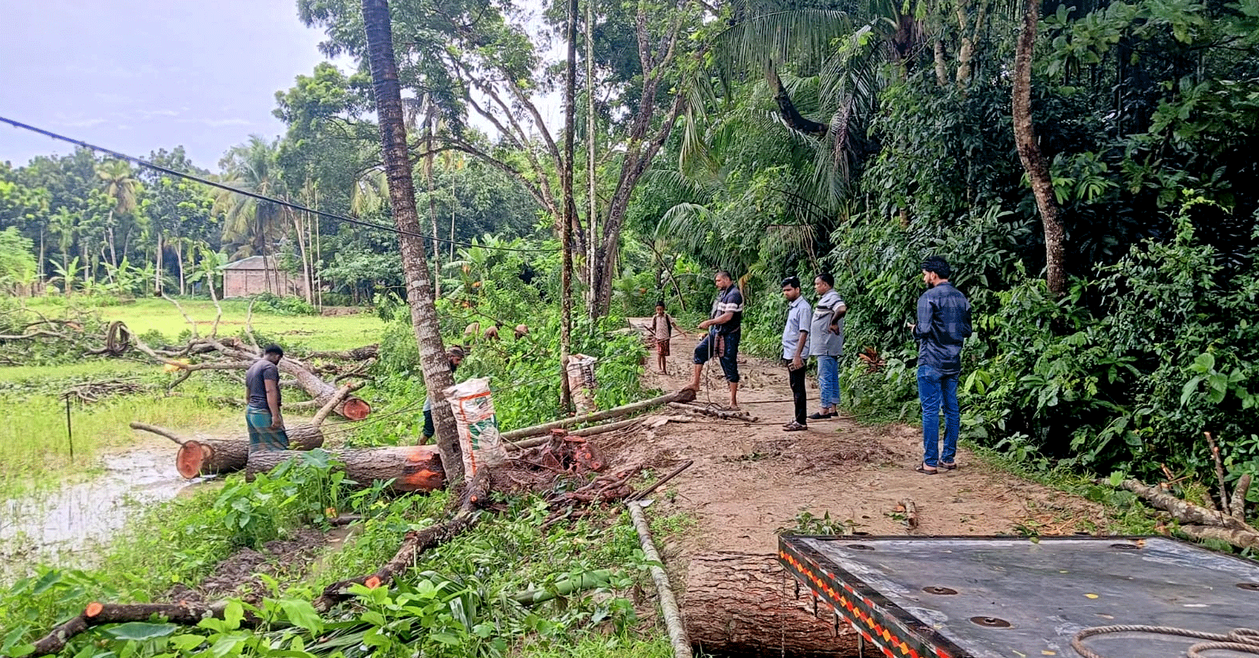 তালায় অনুমতি ছাড়াই রাস্তার পাশের ২৫ মেহগনি গাছ কাটার অভিযোগ নায়েবকে ‘ম্যানেজ’ করে গাছ কাটার দাবি এলাকাবাসীর