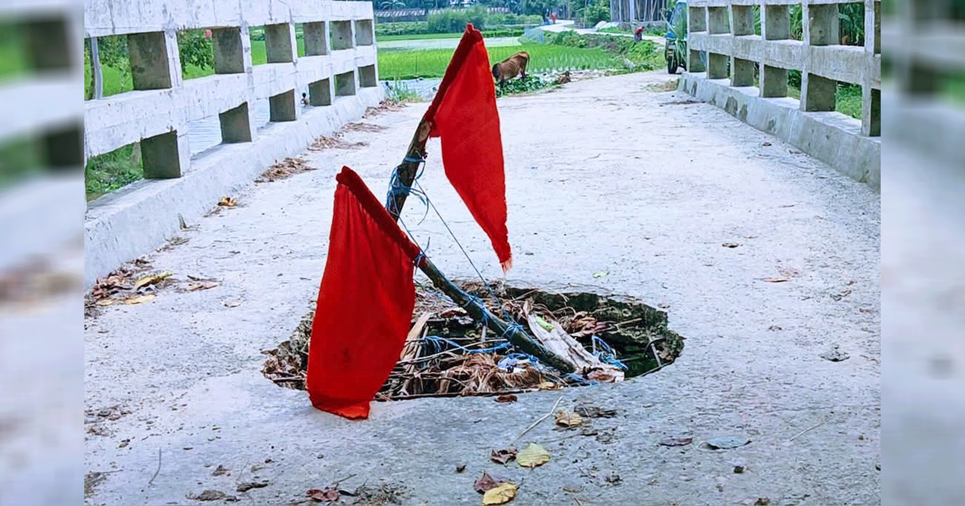 পলাশবাড়ীতে ব্রীজে ভাঙন, ঝুঁকি নিয়ে চলাচল, চরম ভোগান্তিতে কয়েক গ্রামের মানুষ