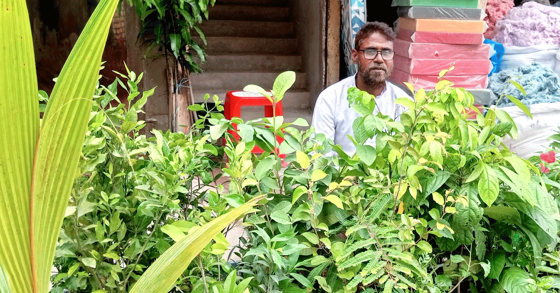 ফুটপাতে সবুজের ফেরিওয়ালা বেলাল, ২০ বছর ধরে বিক্রি করেন ফল-ফুলের চারা
