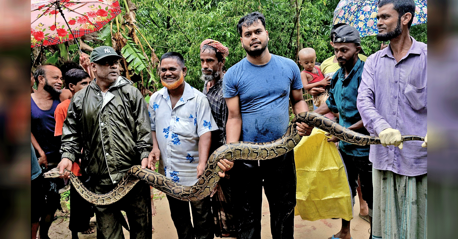শ্রীমঙ্গলে বাড়ির আঙিনায় ১৪ ফুটের অজগর