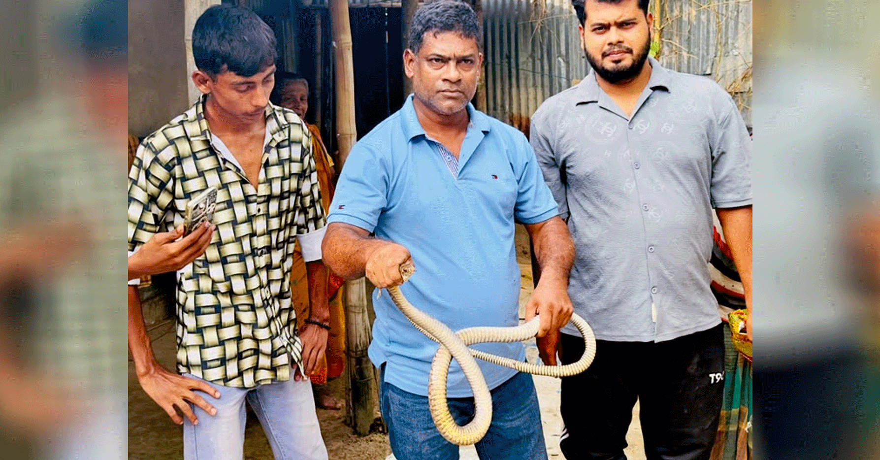 শ্রীমঙ্গলে রান্নাঘর থেকে দাঁড়াশ সাপ উদ্ধার